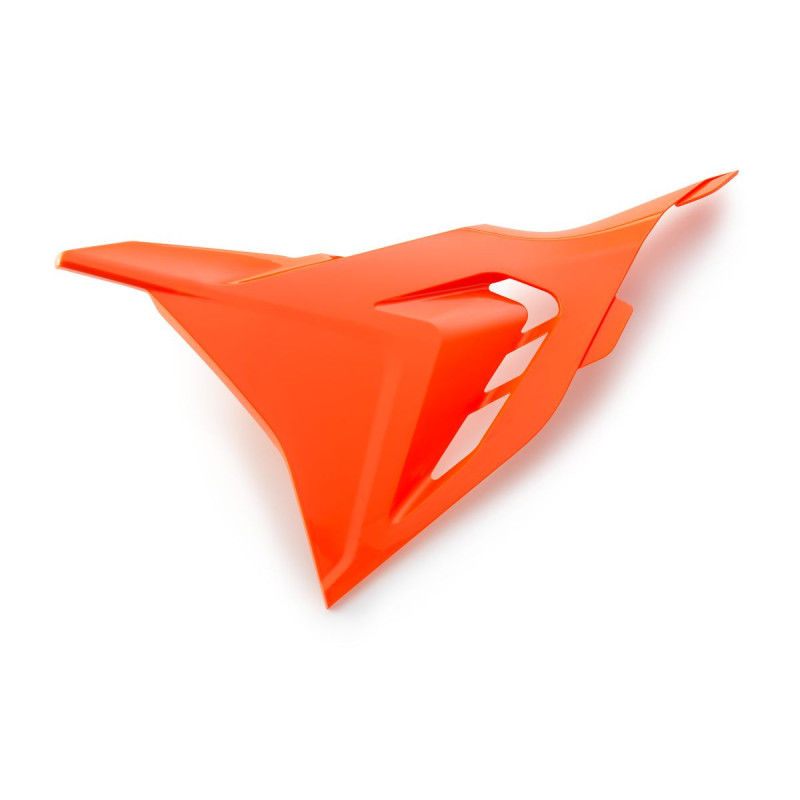 Trappe de boîtier du filtre à air